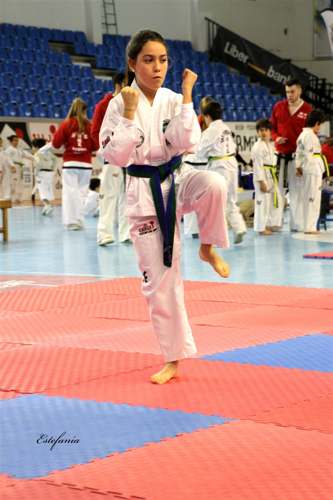 Taekwondo (123).jpg
